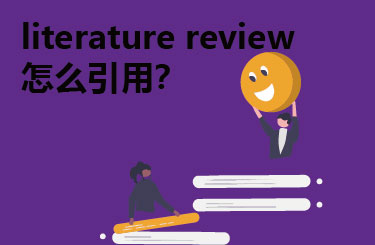 literature reliterature review怎么引用？