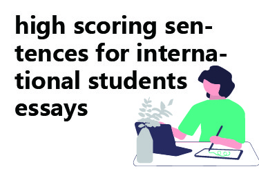 essay sentence structure
