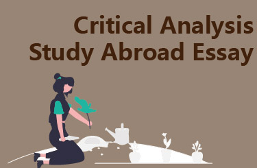 Critical Analysis Study Abroad Essay