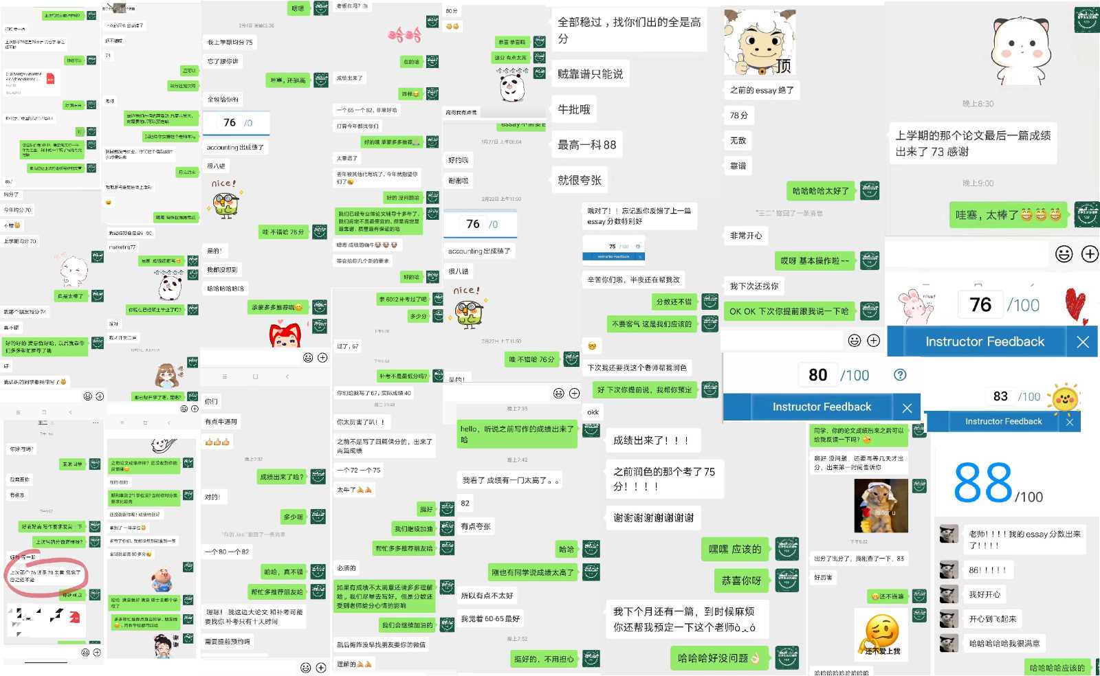 真实用户反馈