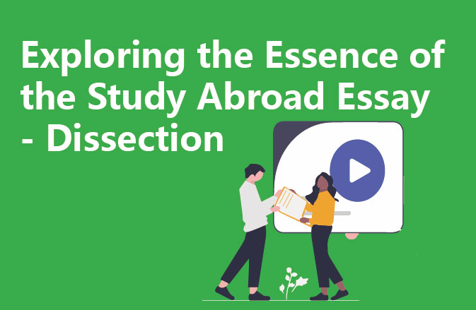 Exploring the Essence of the Study Abroad Essay - Dissection