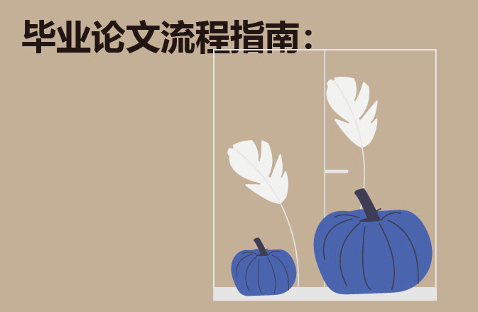 毕业论文流程指南：